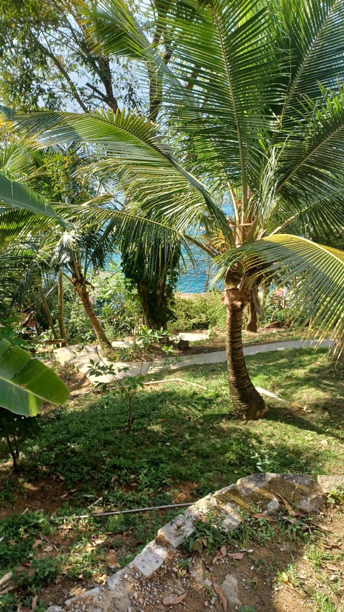 Saracura Hotell Praia de Araçatiba Exteriör bild